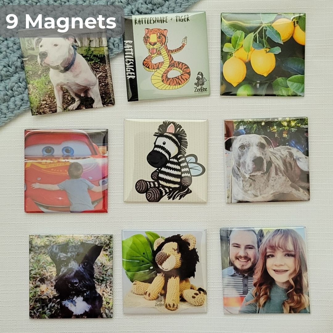 Collection of 9 photo magnets featuring various example images on a textured surface.